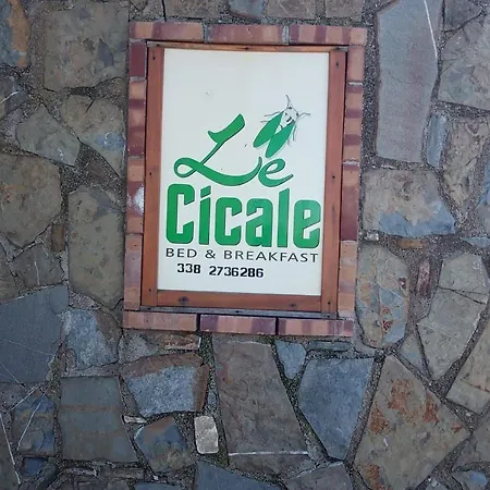 Bed Le Cicale Agropoli