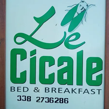 Bed Le Cicale Penzion Agropoli